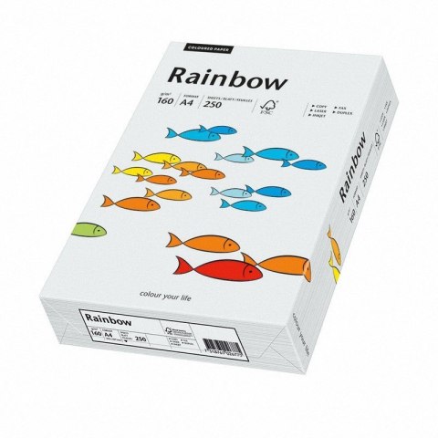 Papier xero kolorowy A4 160g 250 ark. RAINBOW R93 jasnoszary 88042791/84 (X)