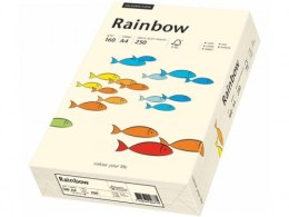 Papier xero kolorowy A4 160g 250 ark. RAINBOW R03 kremowy 88042257