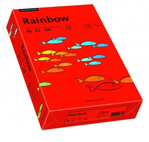 Papier xero kolorowy A4 80g 500 ark. RAINBOW R28 ciemnoczerwony 88042475