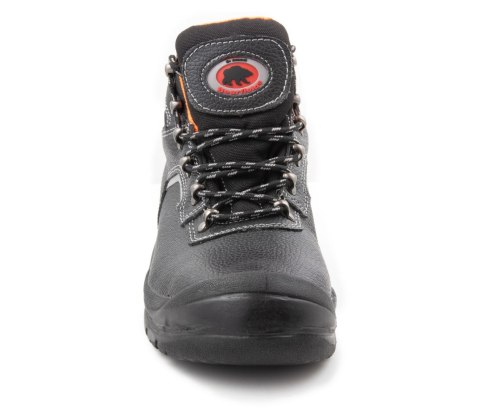 TRZEWIK BEARFIELD R02 S1 SRC