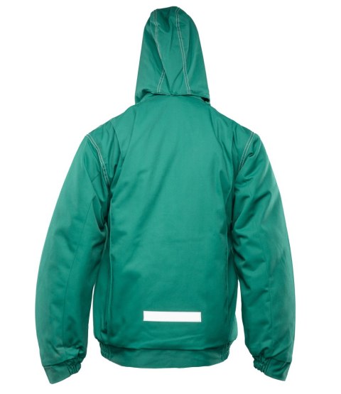 KURTKA - BRIXTON SNOW Zielony