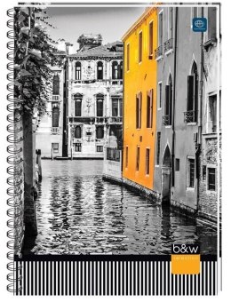 Kołonotatnik B5 160 kartek kratka Interdruk