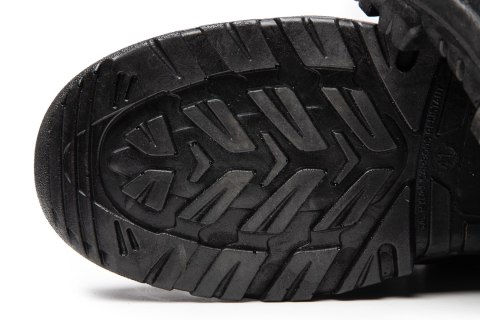 TRZEWIK BEARFIELD OCIEPLANY R02 S3 SRC