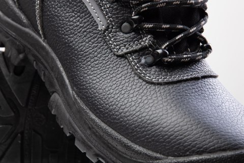 TRZEWIK BEARFIELD OCIEPLANY R02 S3 SRC