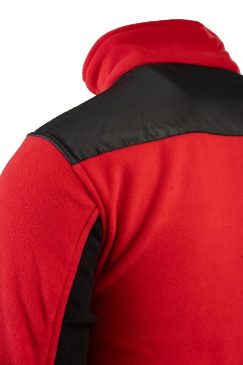 POLAR SEVEN_KINGS RUBIN