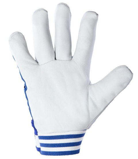 CABRA BLUE KAT. II