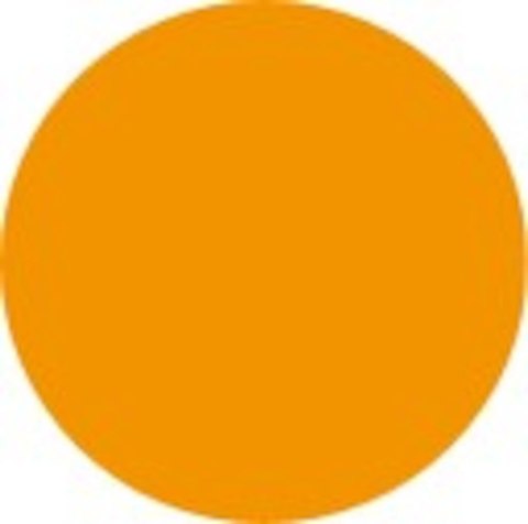 Notatnik A4+ 80k kratka OXFORD Everyday 100106283