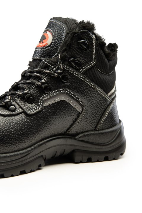 TRZEWIK BEARFIELD OCIEPLANY R02 S3 SRC