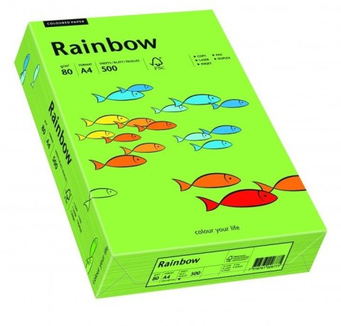 Papier xero kolorowy A4 80g 500 ark. RAINBOW R76 zielony 88042651