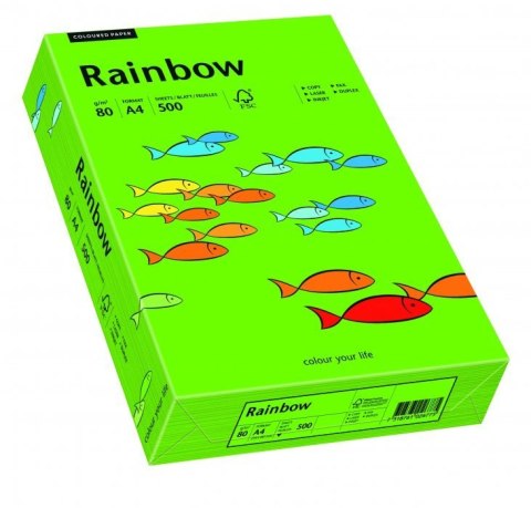 Papier xero kolorowy A4 80g 500 ark. RAINBOW R78 ciemnozielony 88042673