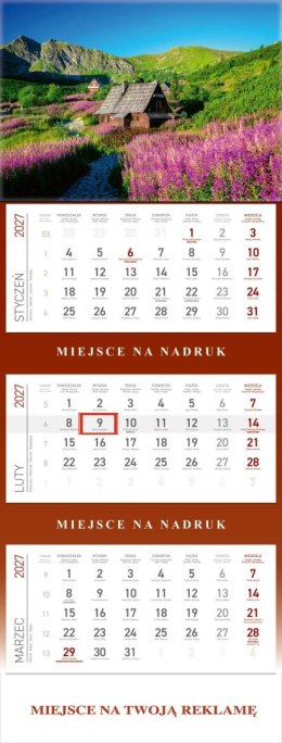 Kalendarz Trójdzielny 2027, KS055B HALA GĄSIENICOWA, WOKÓŁ NAS