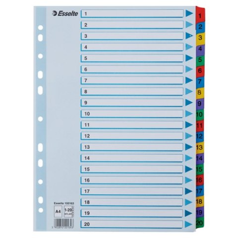 Przekładki kartonowe MYLAR A4 1-20 100163 białe ESSELTE