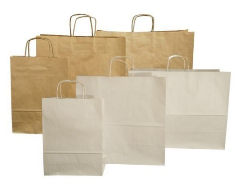 Torba papierowa ECOBAG 240x100x360mm brązowa E2001300 ekologiczna 10603203