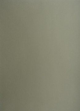 Karton kolorowy A3 160g 25ark ciemnoszary 400150187 OXFORD